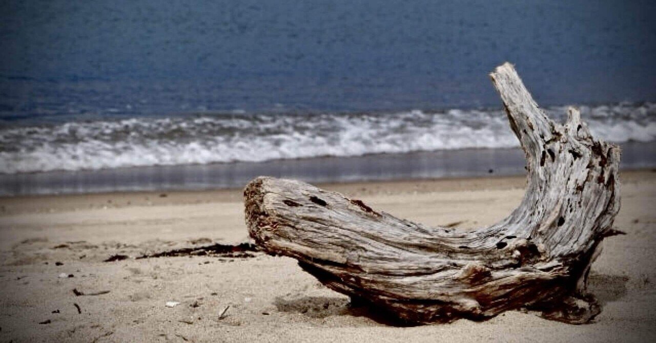 自然が彫刻した唯一無二の美しい捩れ流木/真っ直ぐで力強い自然美77.5㎝ 流木 《詩》｜seiji_arita