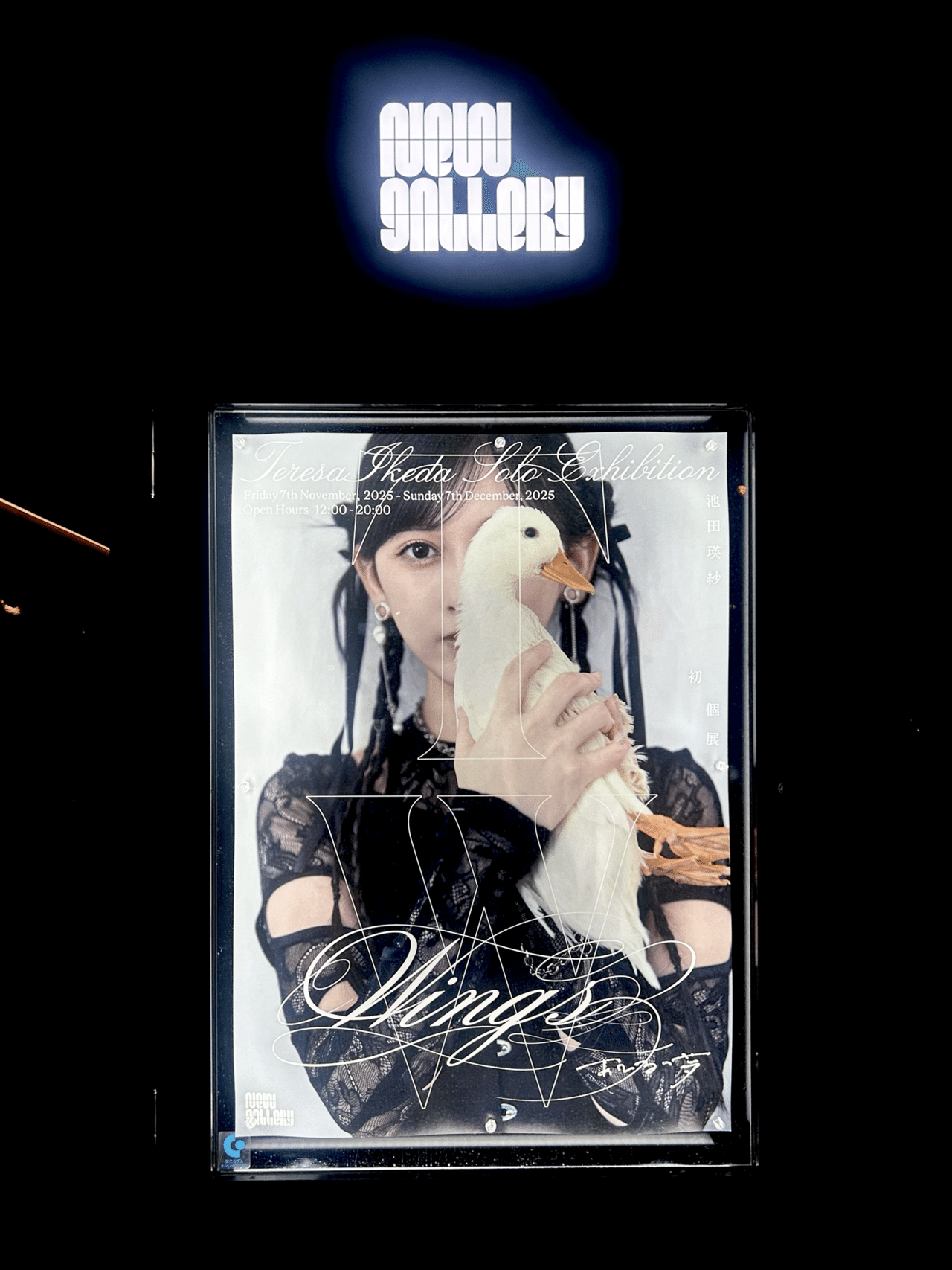 池田瑛紗個展「Wings:あひるの夢」感想｜cozy