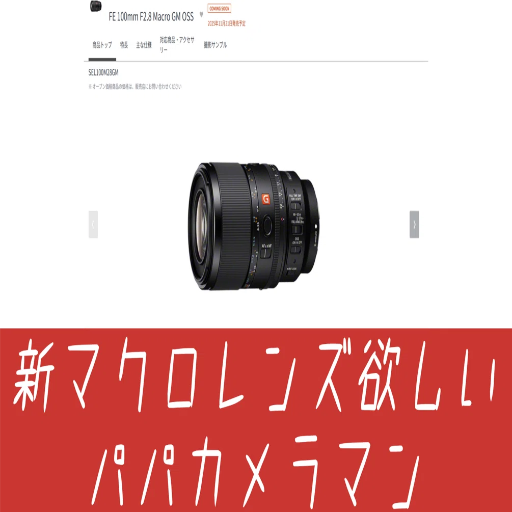 マクロレンズがもたらす家族Vlog大革命｜新100mm Macro GMは救世主たる