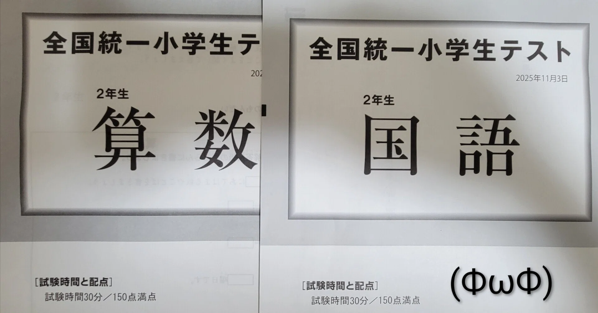 とうとう全国統一小学生テスト【小2】【11月】【教育】｜にゃんこ