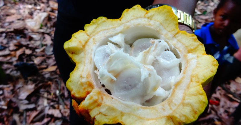 アフリカにおける日本企業の動き 年2月 梅本優香里 アフリカビジネスパートナーズ Note