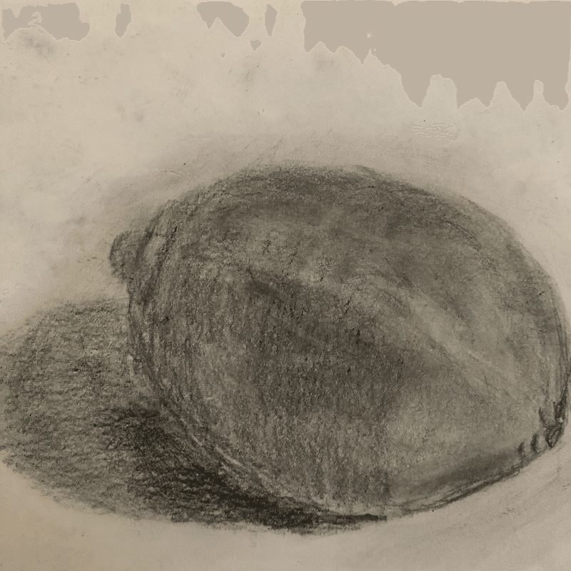 外出禁止中のおすすめの暇つぶし デッサン シベリア引きこもり生活 齋藤友亨 Tomoyuki Saito Note