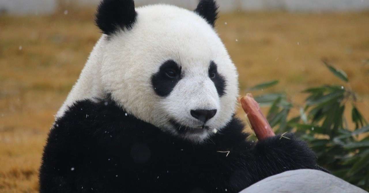 新生活 中国語を始めよう 中国語を知ろう編 ほほえみ Note