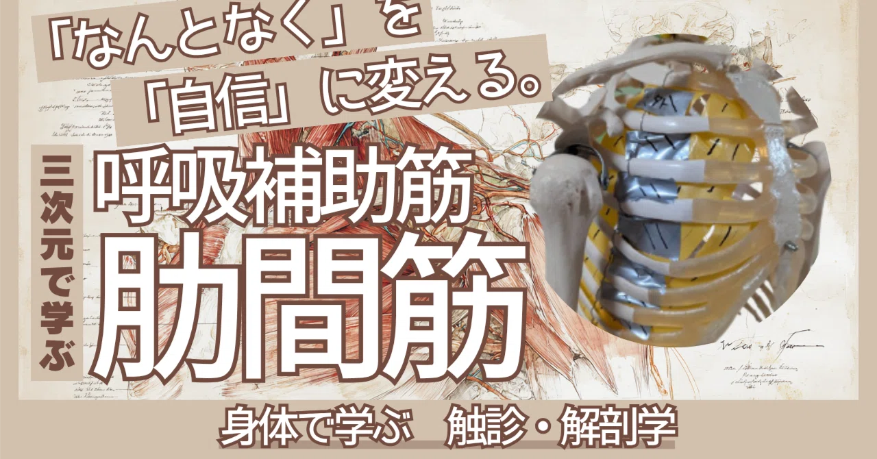 胸郭統合アプローチ , 【公式通販】