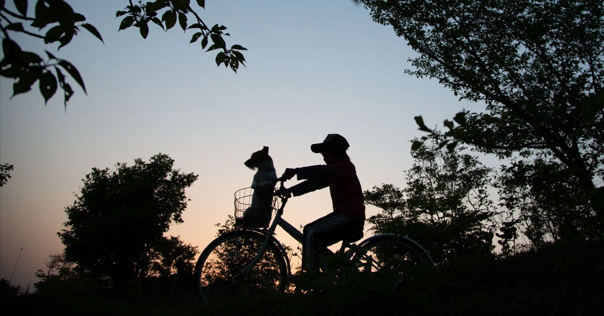自転車とカメラ｜しまなみフォトライフ