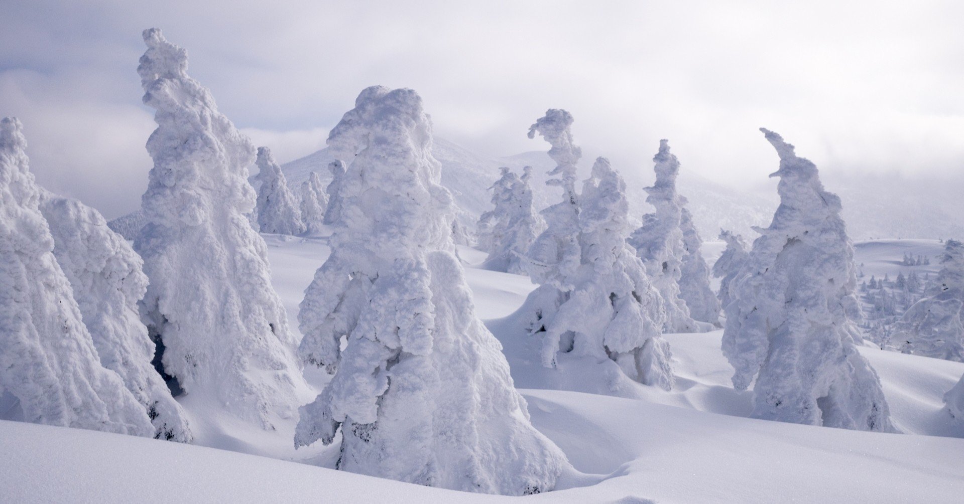 トップに命を託せるか 八甲田山死の彷徨 ドント ウォーリー Note
