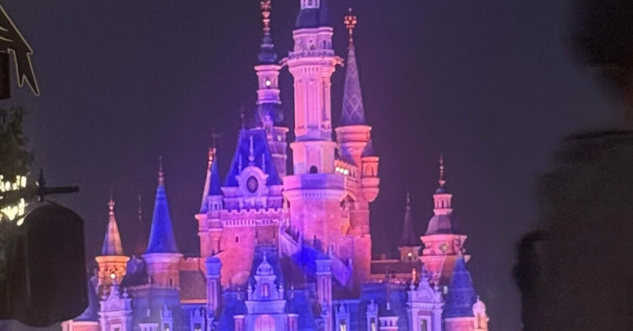 上海ディズニーランド2泊3日の旅～準備編②｜Chicchi