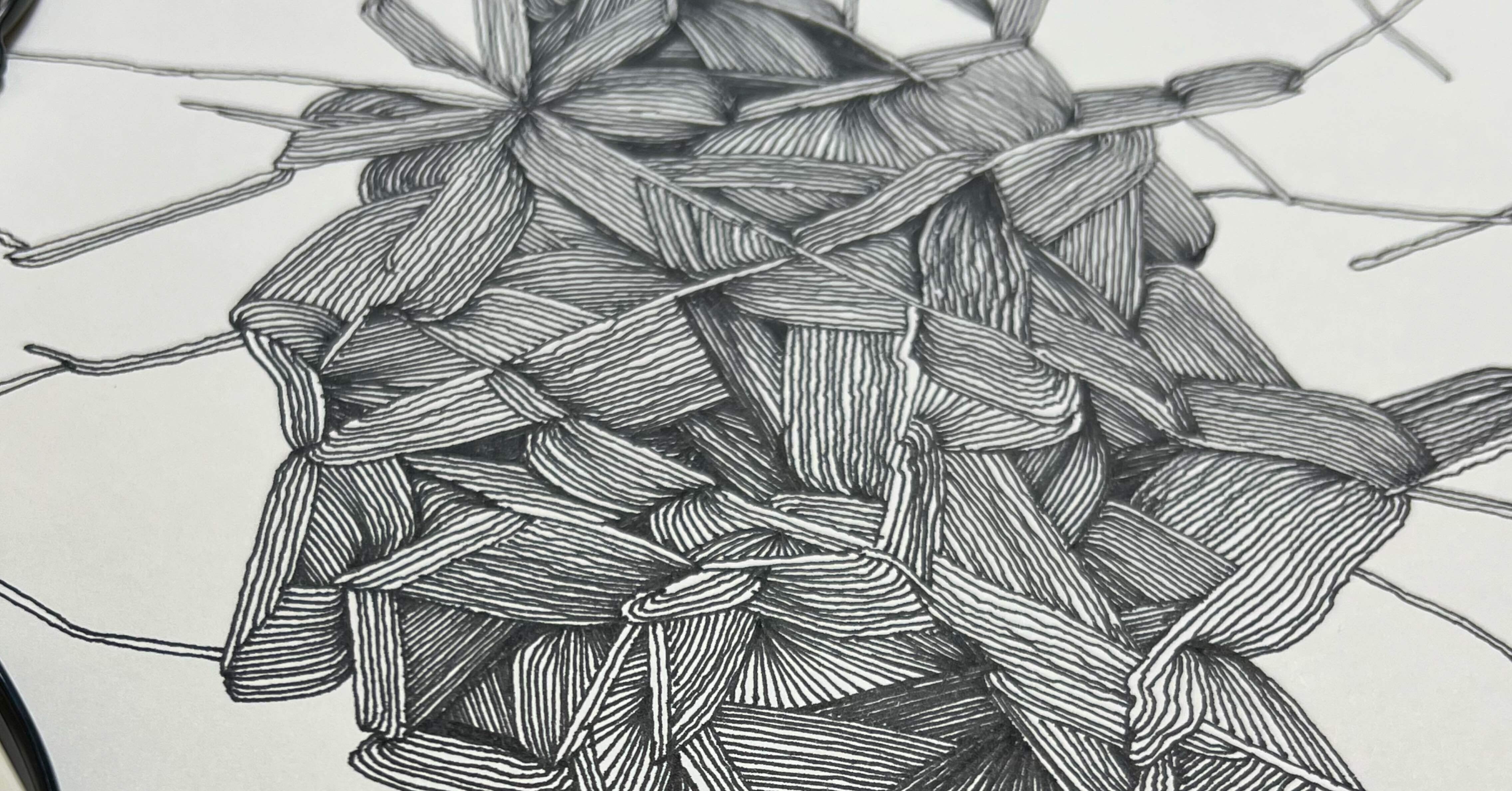 紙を回転させることと形を描き進めることに関係性/ペン画｜髙野 梢