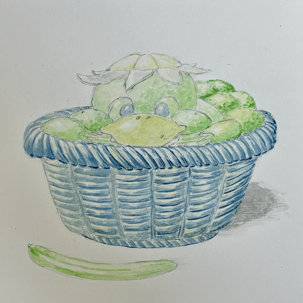 🥒寄せ絵集13 ｜さわこり