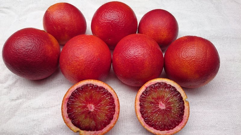 真っ赤なブラッドオレンジ
