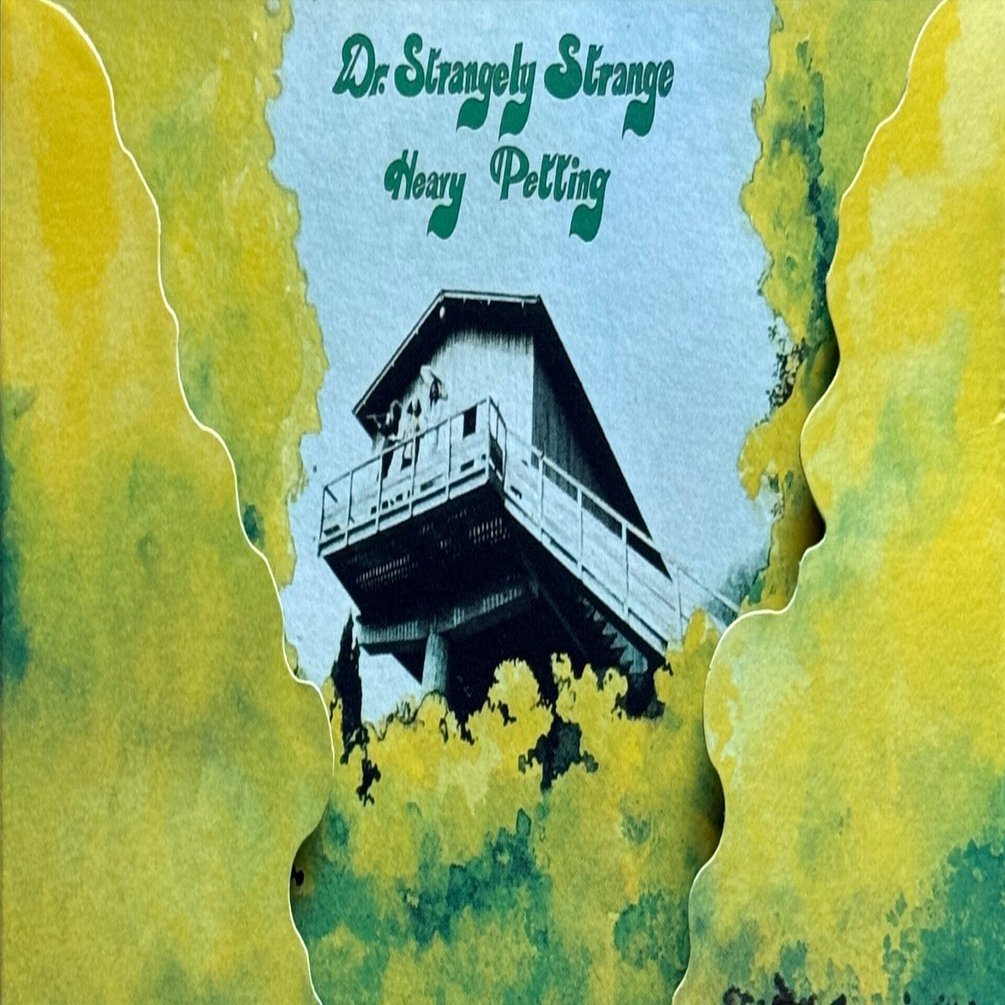 🎧 Dr. Strangely Strange『Heavy Petting』：アイルランド・フォーク