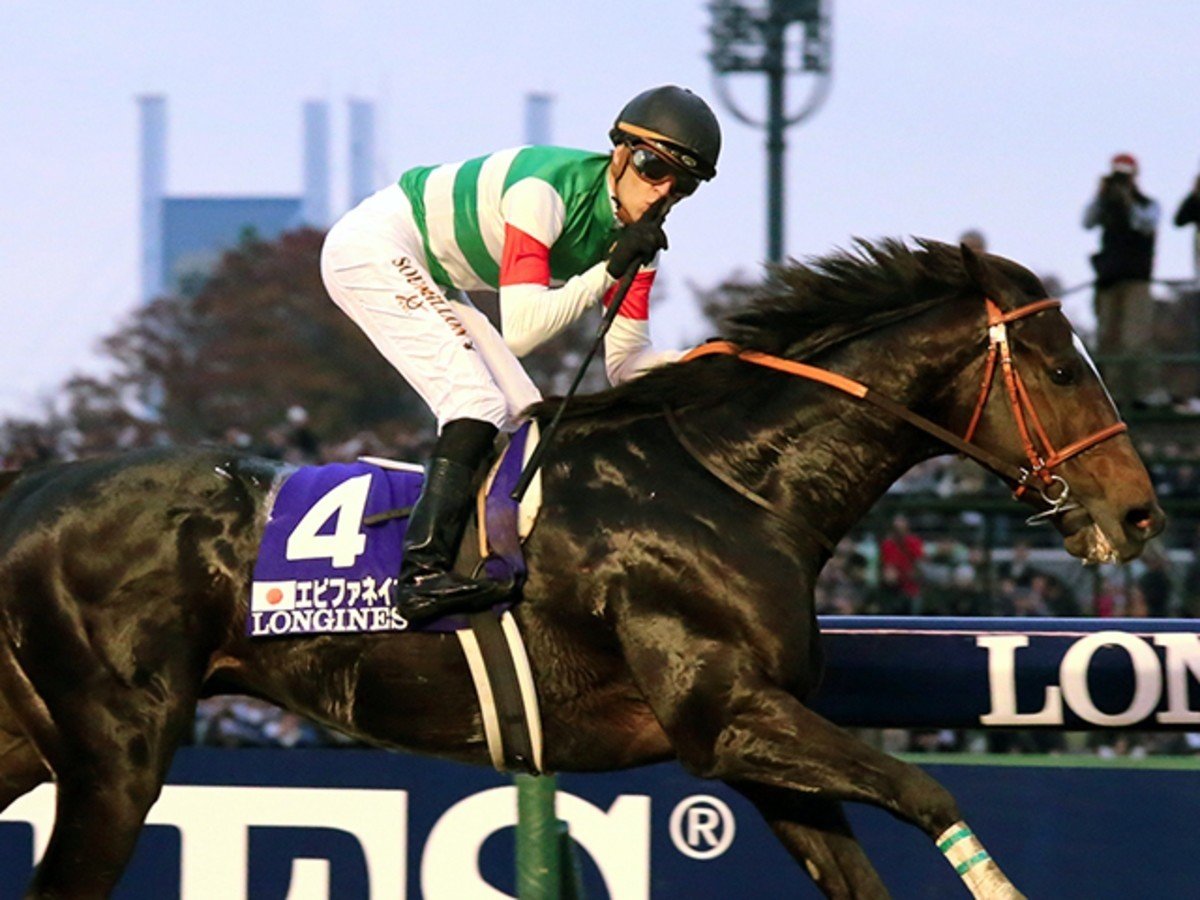 これからのエピファネイアの話をしよう｜アルトリウス