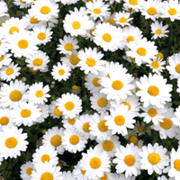 秘書の心得 2 謙虚さを忘れない くみ Note