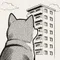 犬川 とうふ