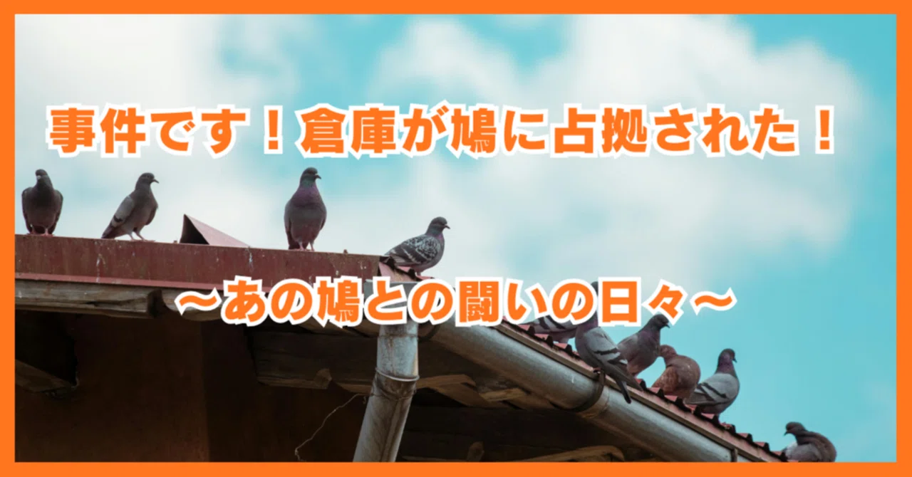 鳩様　確認用 事件です！倉庫が鳩に占拠された！ ～あの鳩との闘いの日々～｜まさ