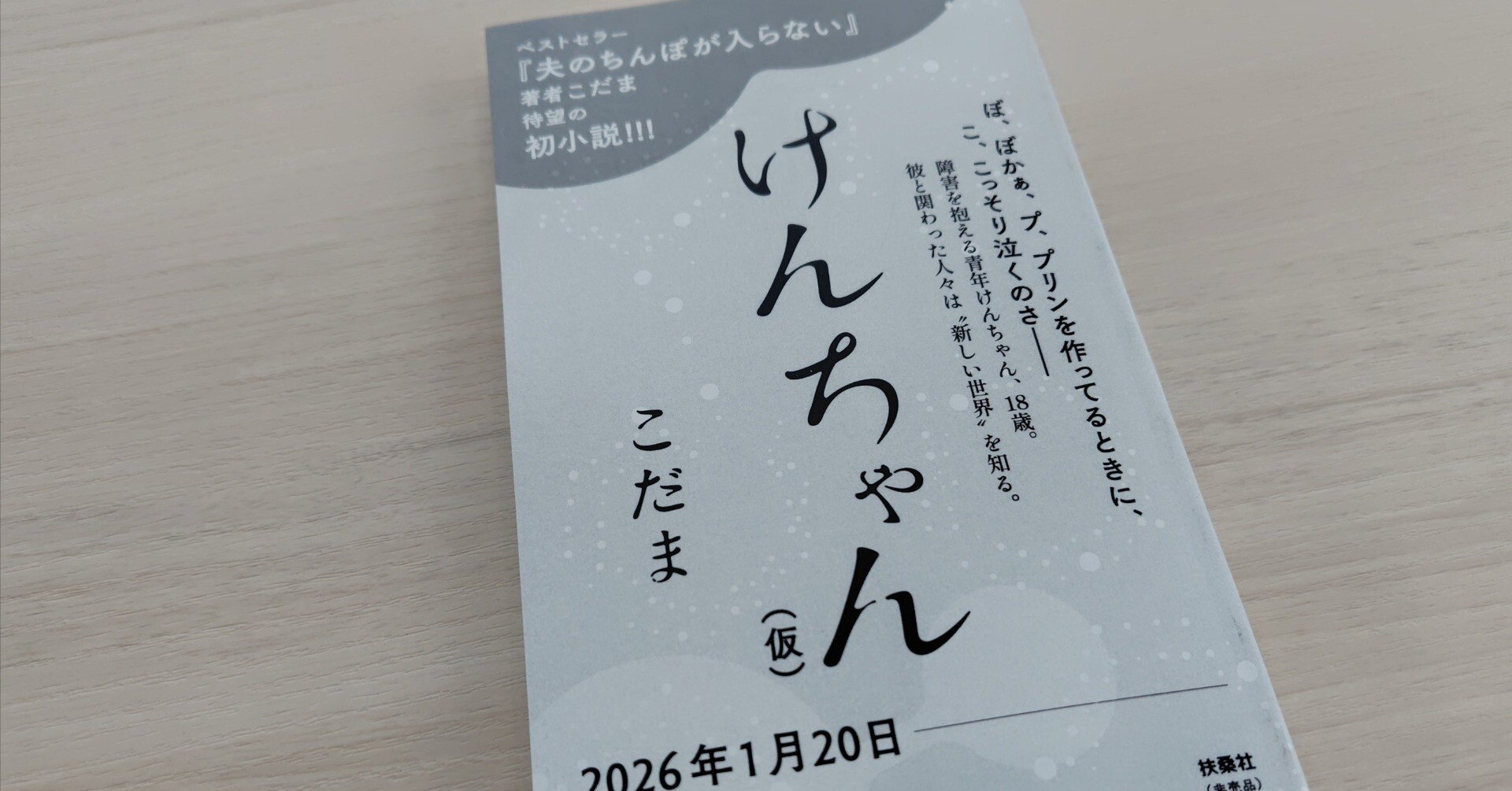 新刊『けんちゃん』のこと｜こだま