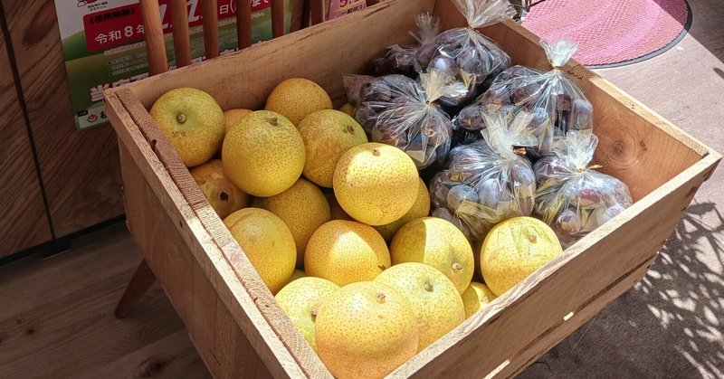 畑のおすそわけ