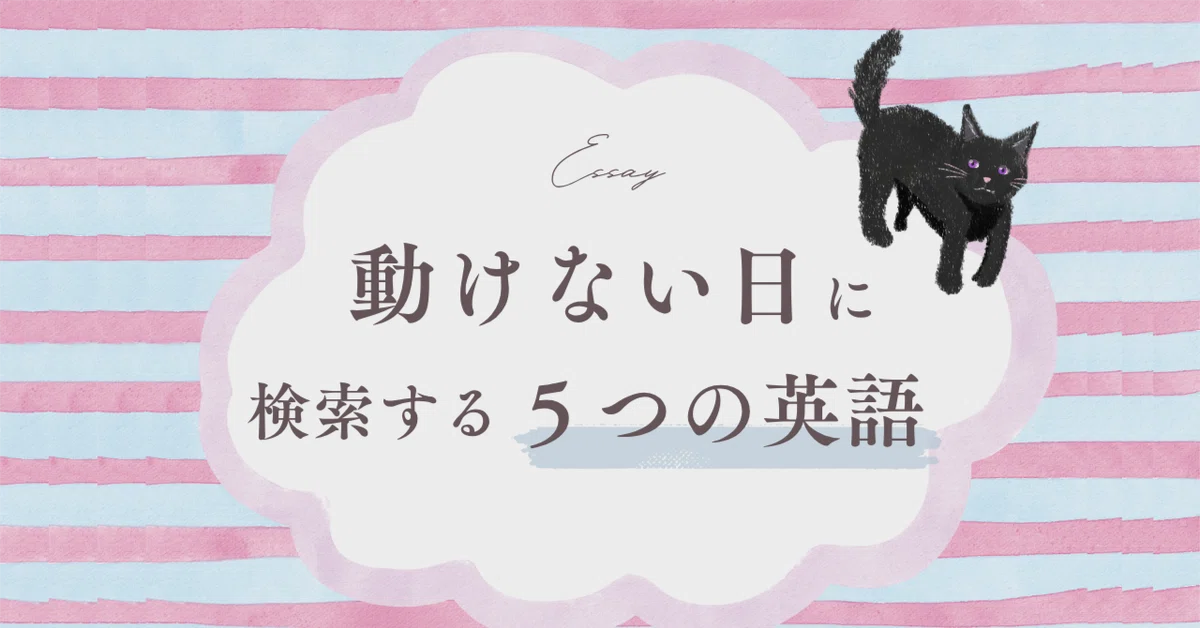見出し画像