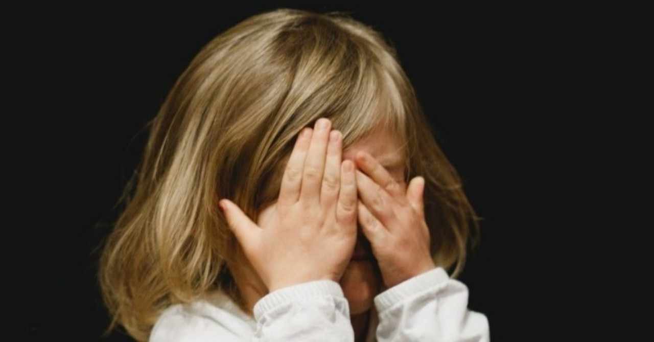 可愛いハーフの子供が欲しいから外国人と結婚したい って奴はプードルでも飼っとけ イギリスで映像翻訳 毒舌あやちゃんのukライフ Note
