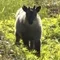unique_bear7986