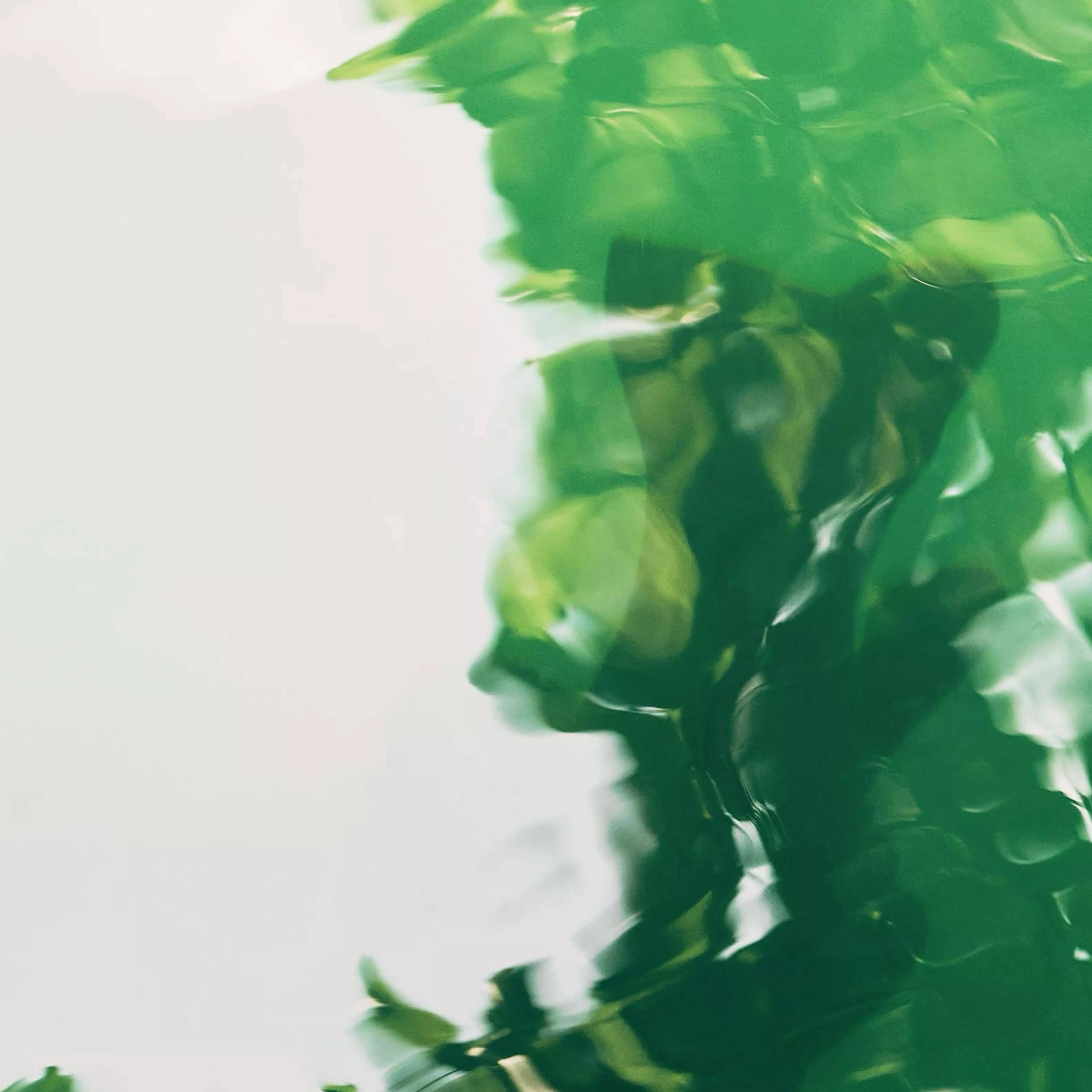 伊澄