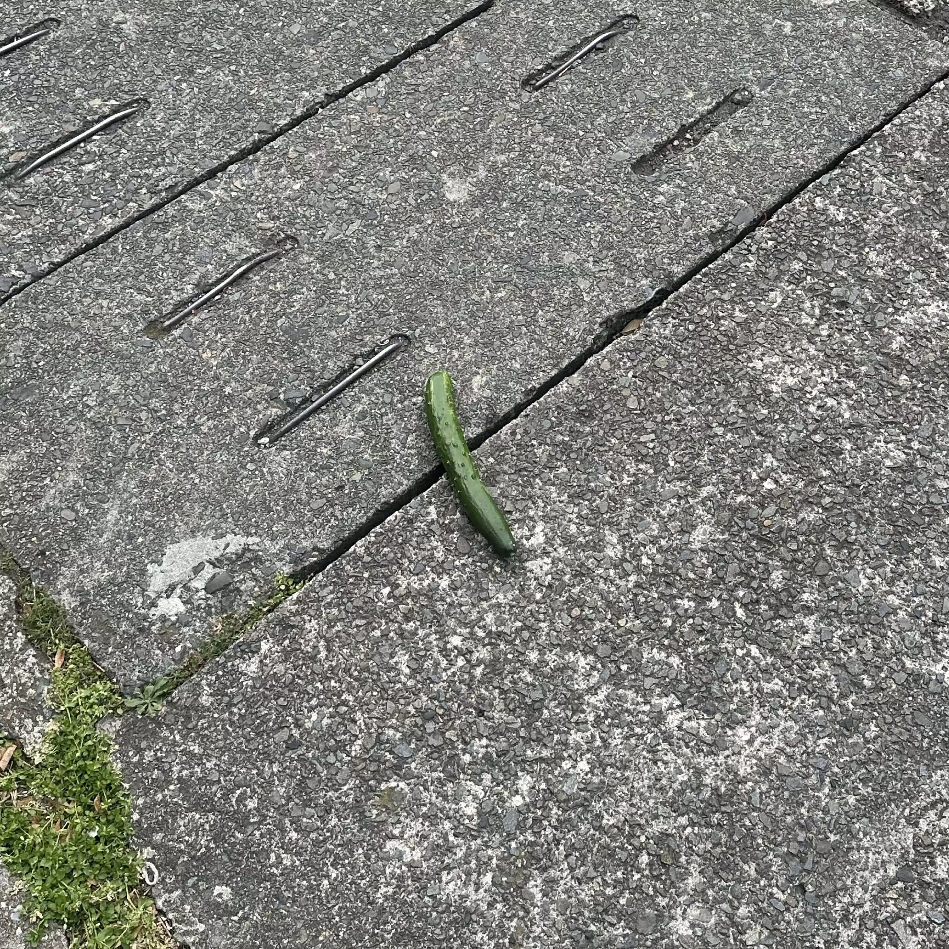 私