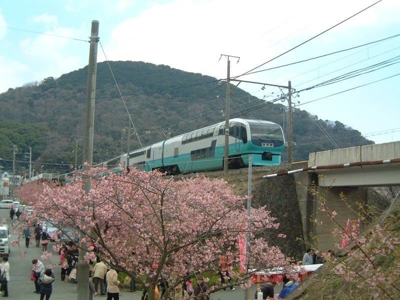 ２５１系スーパービュー踊り子特急形電車 JR東日本 251系 リニューアル車 特急 「ｽｰﾊﾟｰﾋﾞｭｰ踊り子」 RE