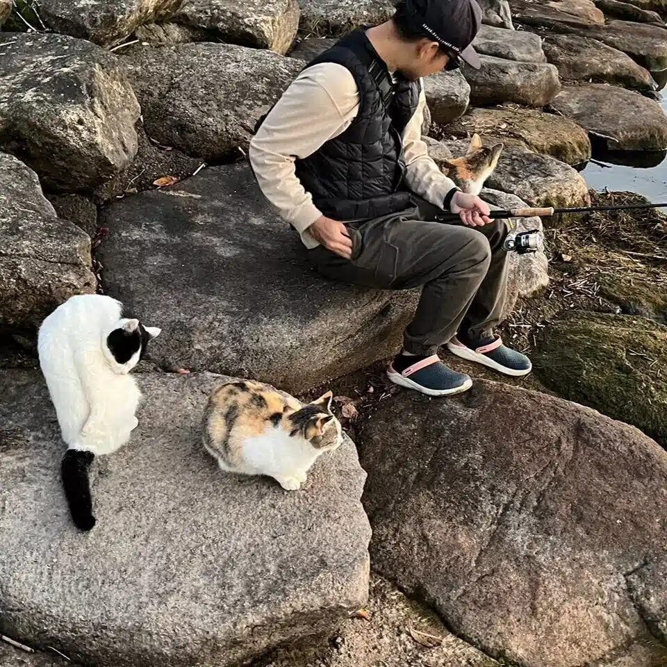 てせごん