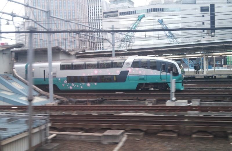 ２５１系スーパービュー踊り子特急形電車 hqdefault.jpg