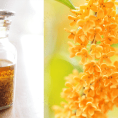 廃材から生まれた一輪挿し｜MOE｜クラフト工房『森のこのは』