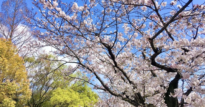 ありがとうの魔法 綺麗な言葉を使う大切さ きょーか Note