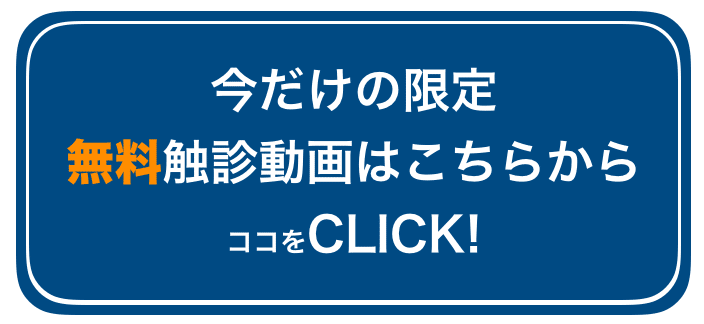 無料動画