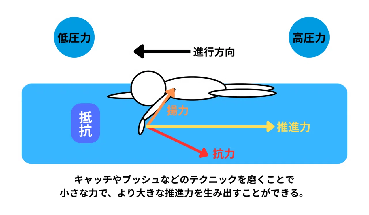 水泳&競泳はどんなスポーツ？｜スイサポ｜競泳トレーニングラボ
