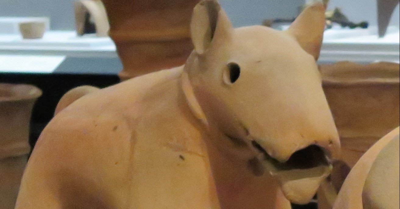 はにわんわん 埴輪紹介所その13 はにこ Note