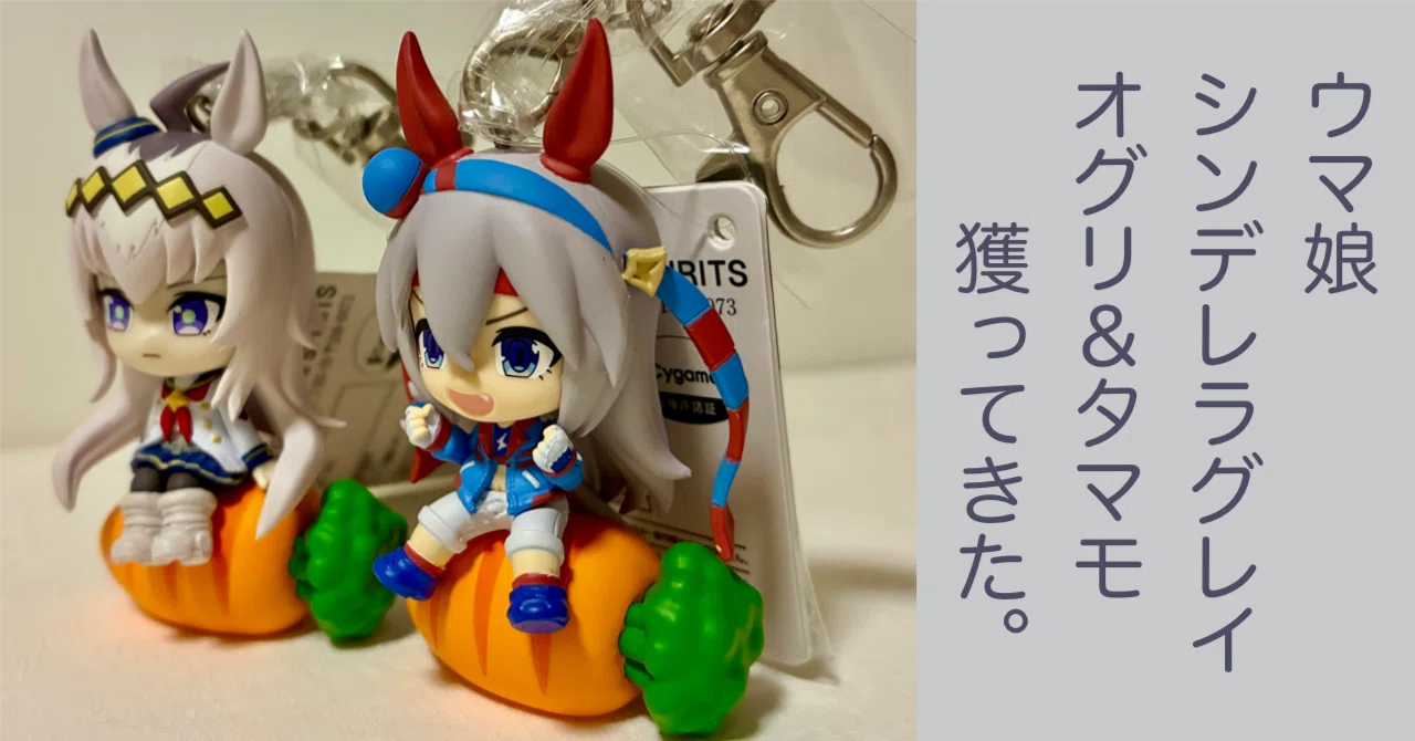 ウマ娘 シンデレラグレイ】オグリキャップ タマモクロス 獲ってきた ウマ娘 シンデレラグレイ】オグリキャップ タマモクロス 獲ってきた