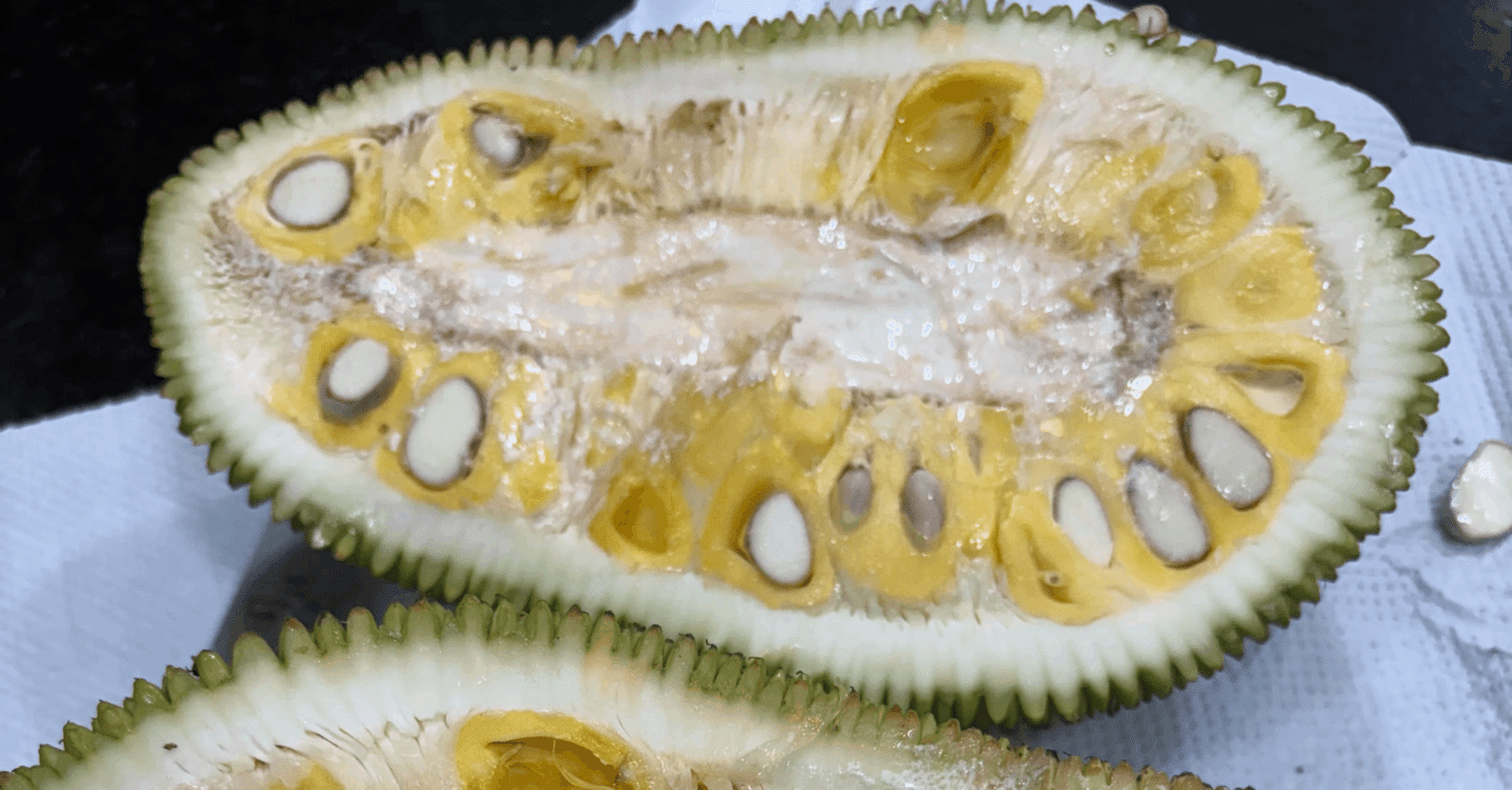 2.6キロで57円!? クセ強な果物「ジャックフルーツ」体験記@インド