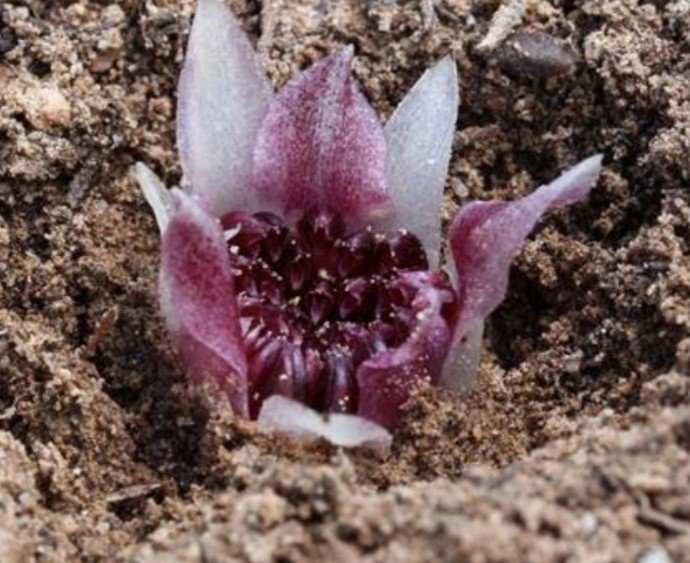 使命に立ち返る ノリティ Note