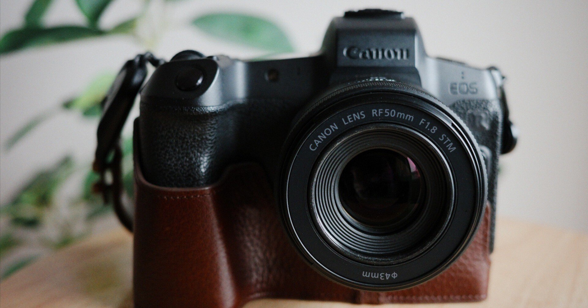 Canon RF50mm F1.8 STM 単焦点レンズ【極美品・防湿庫保管】 Amazon.co.jp: 【全額返金保証】【最速発送】Canon RF50mm F1.8 STM 超