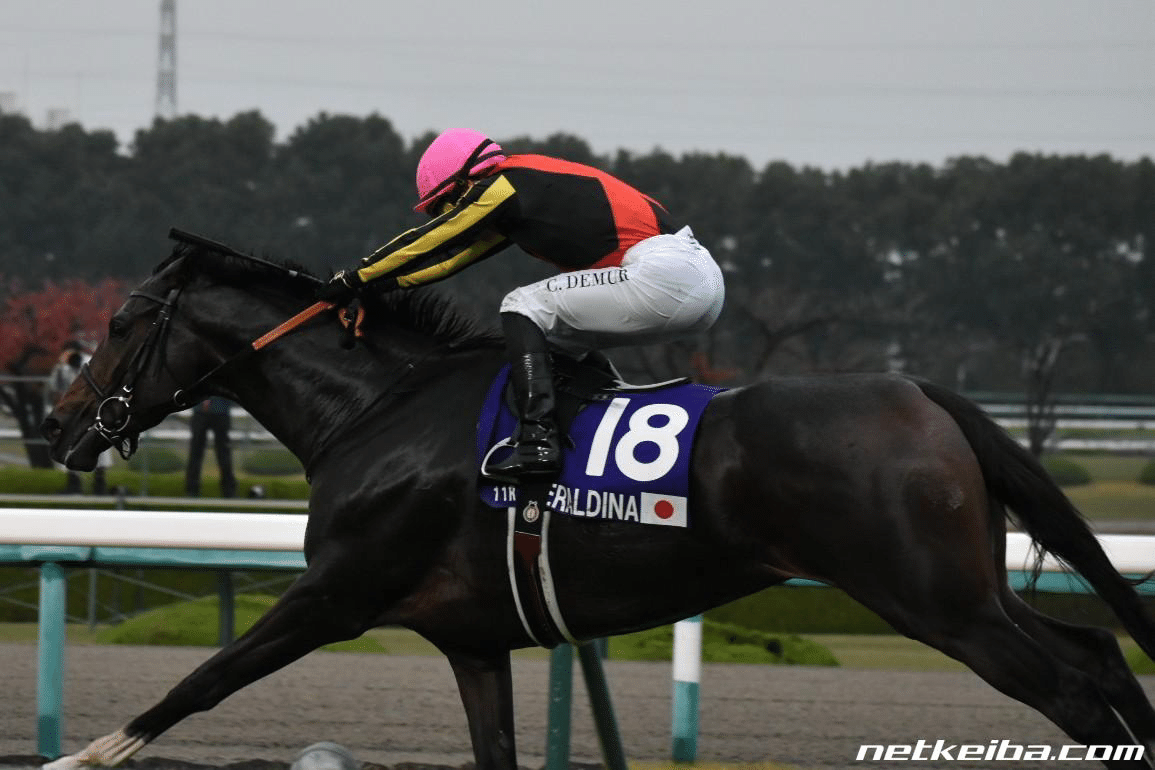 👸 G1 エリザベス女王杯2025 全頭診断 👸｜玲音覇愛兎