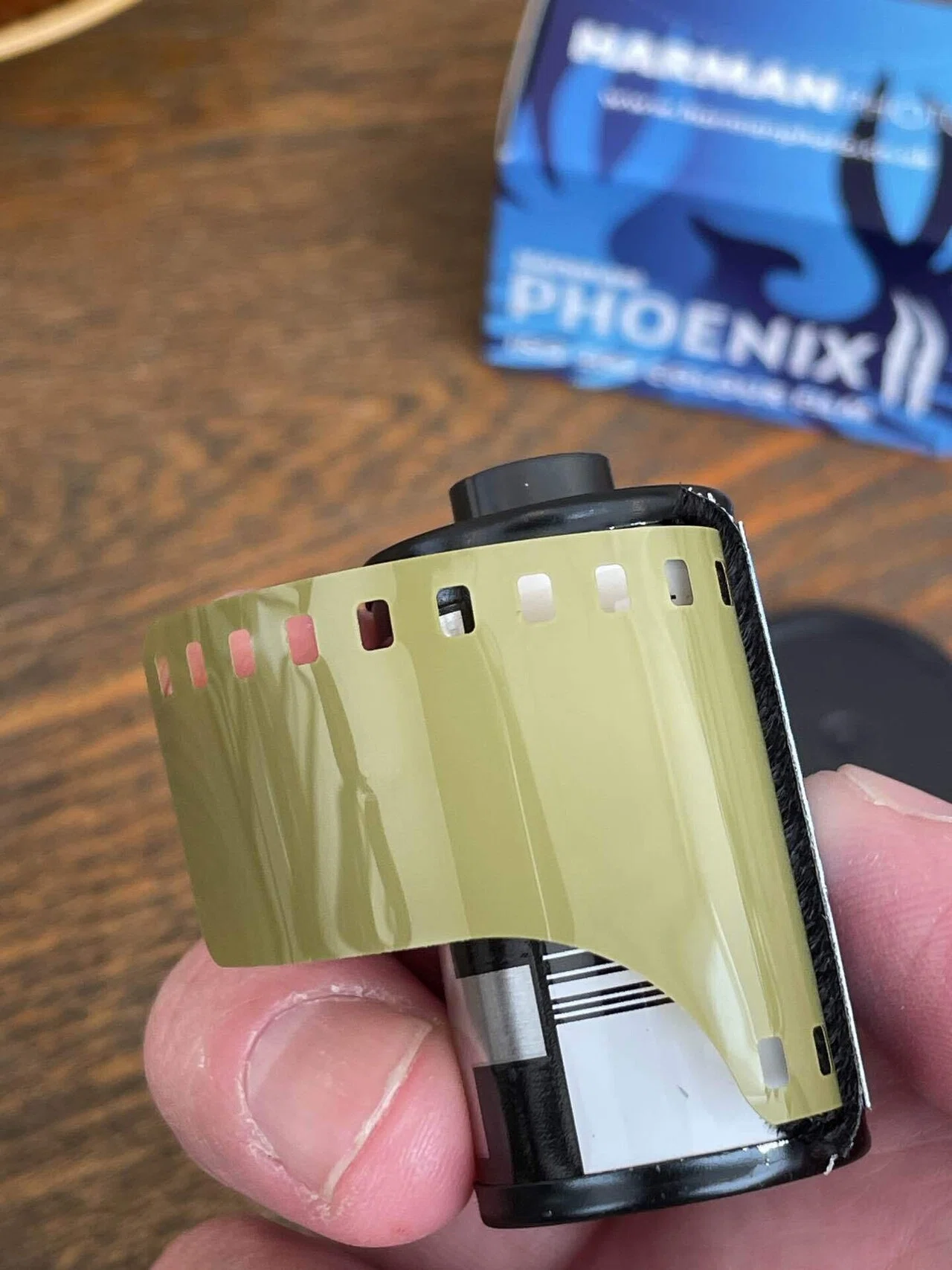 現像を断られたフィルムのはなし｜おしゃま