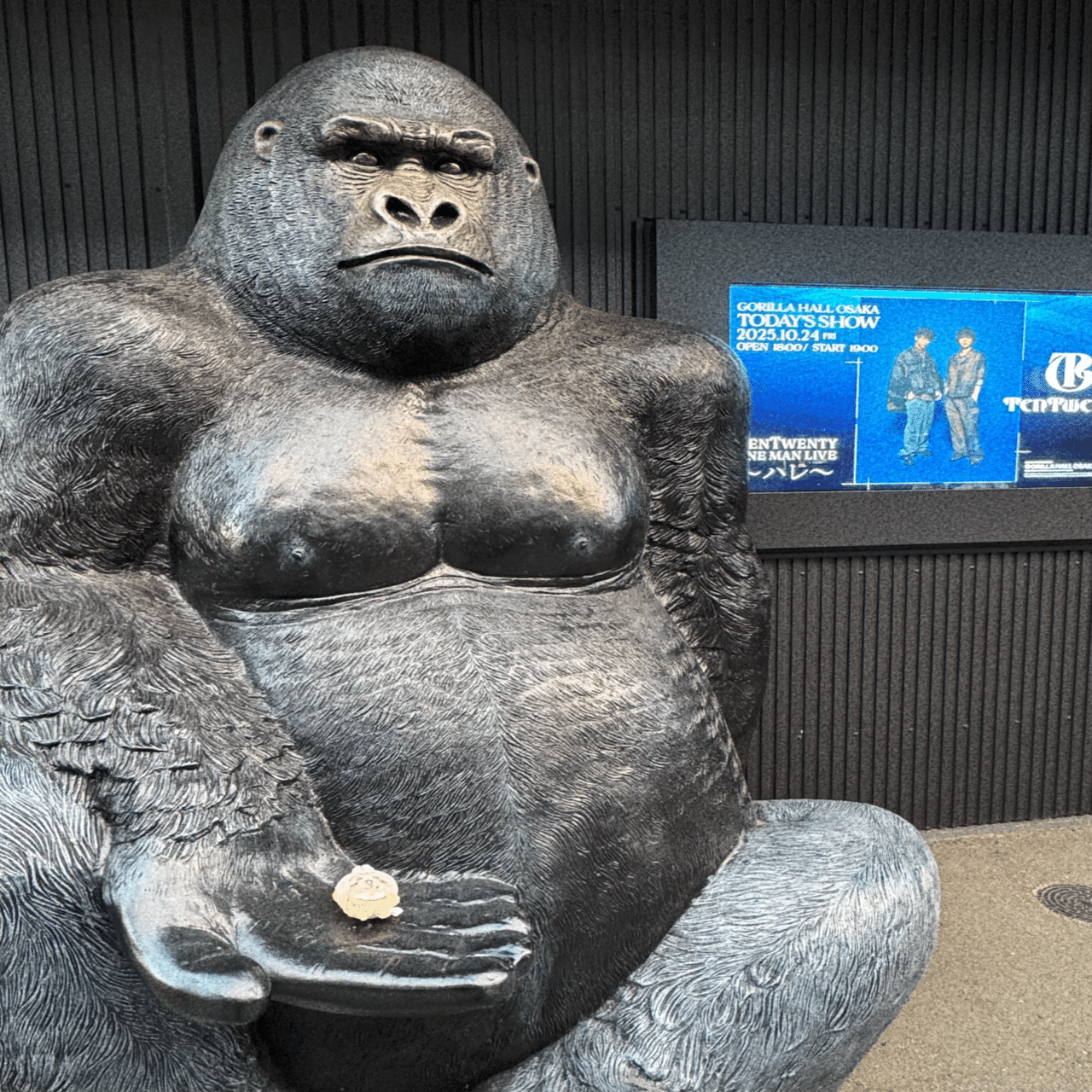 TenTwenty ONE MAN LIVE 〜ハレ〜@10/24(金)GORILLA HALL OSAKA｜きる