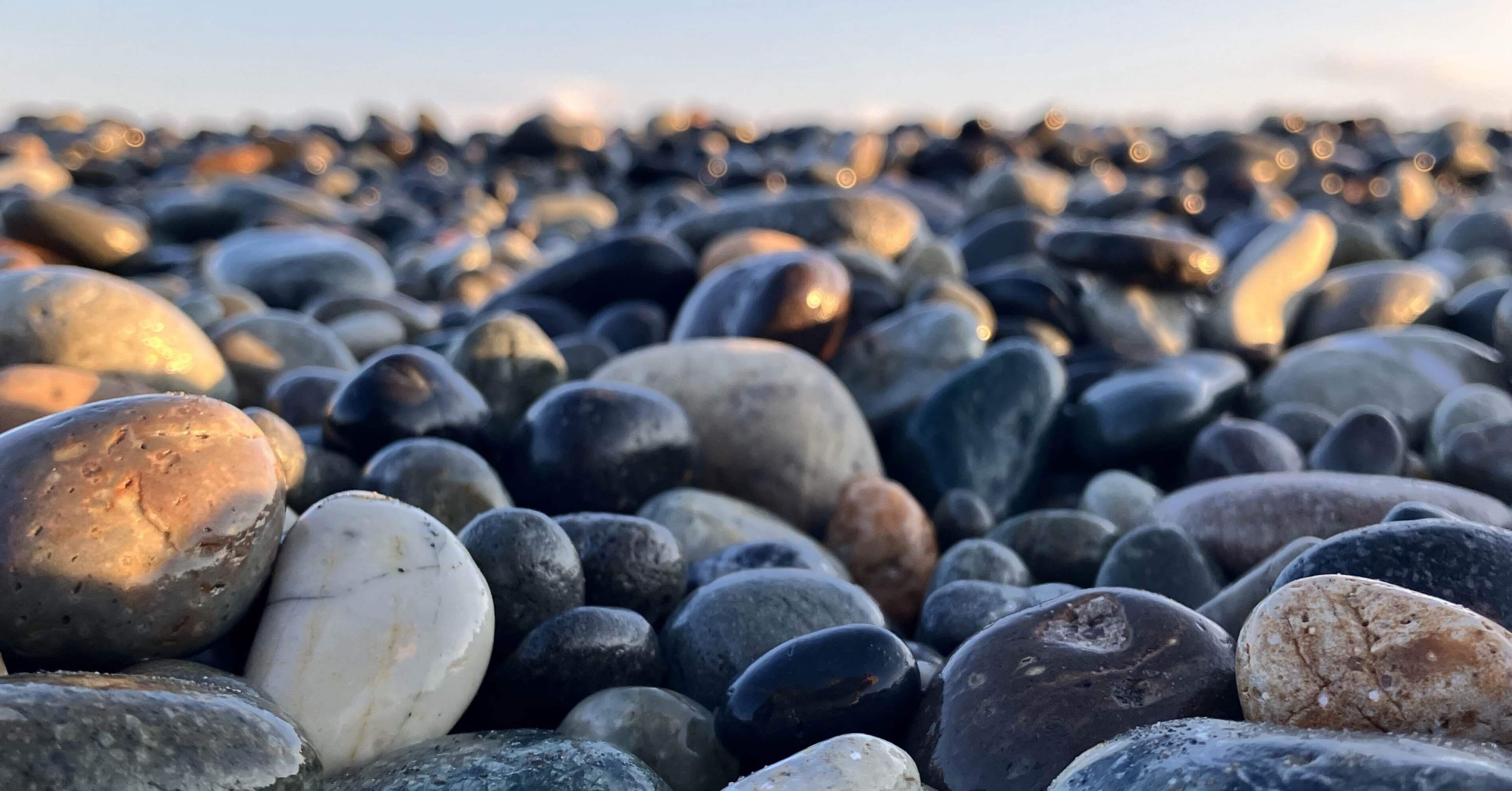 🏆 #今年学んだこと｜たかが石ころ、されど石ころ。「Pebbling」— 多様