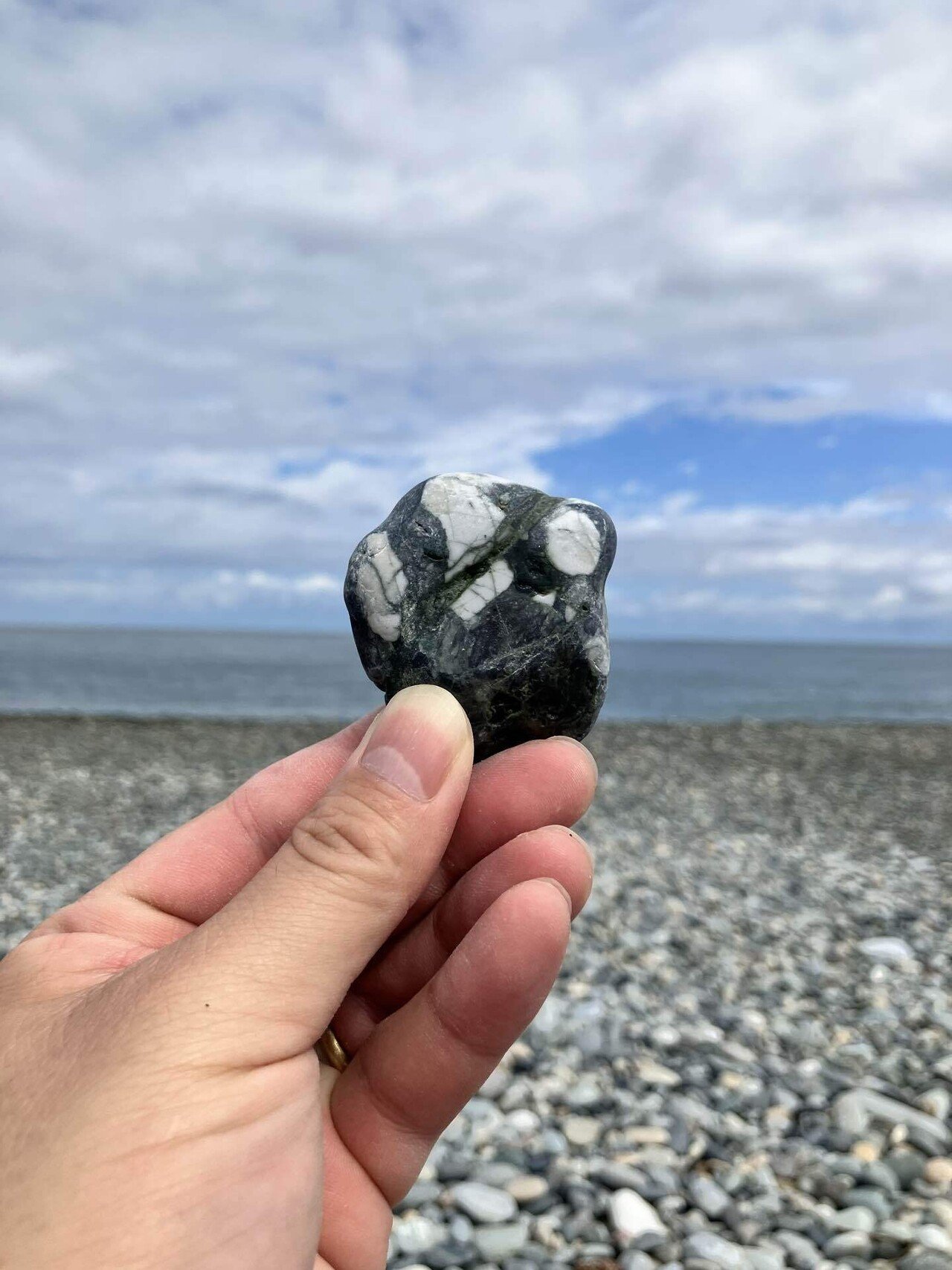 綺麗な石ころ 🏆 #今年学んだこと｜たかが石ころ、されど石ころ。「Pebbling」— 多様