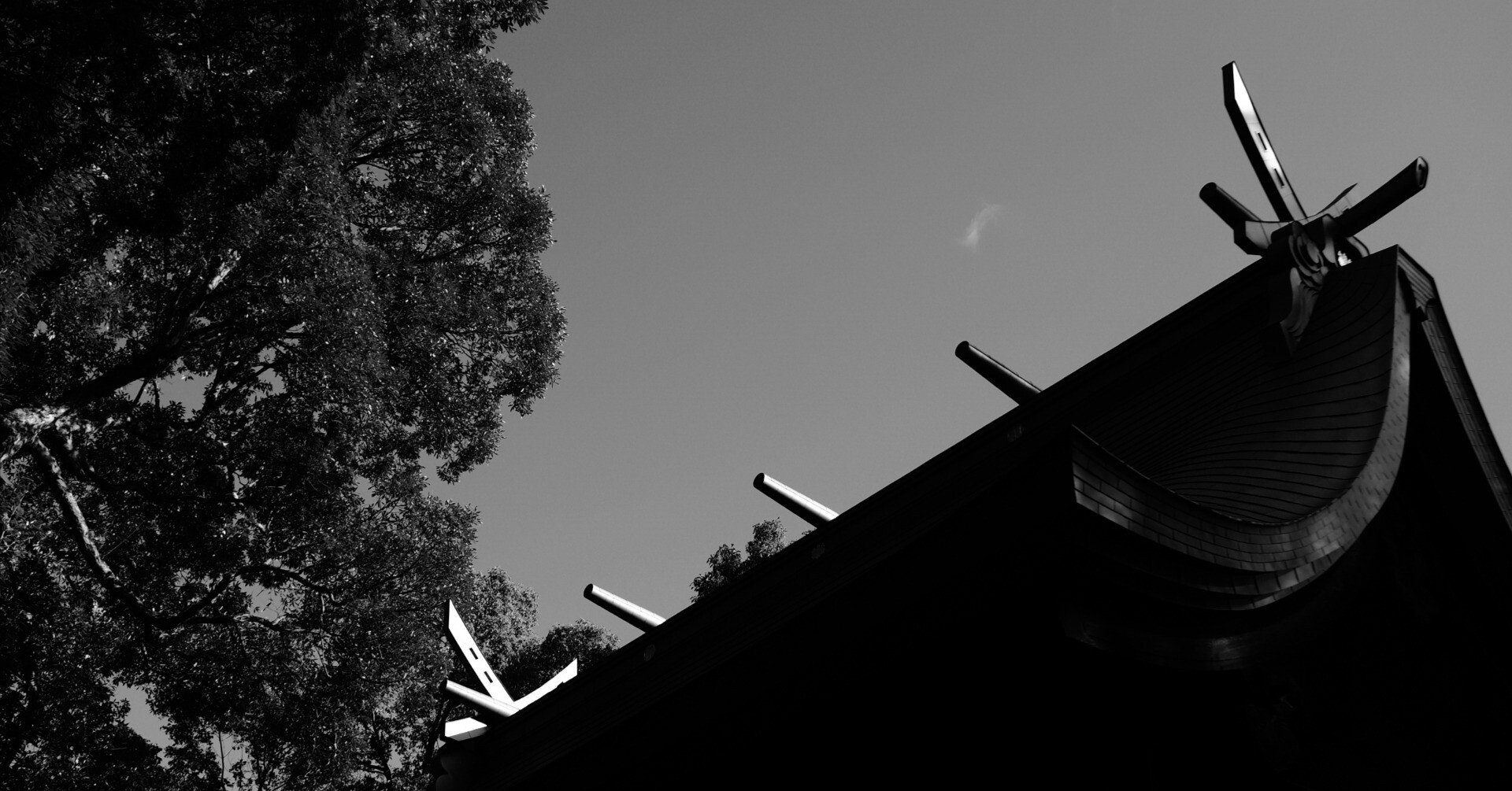 光と影 光と影を見ると良い。｜maaaa