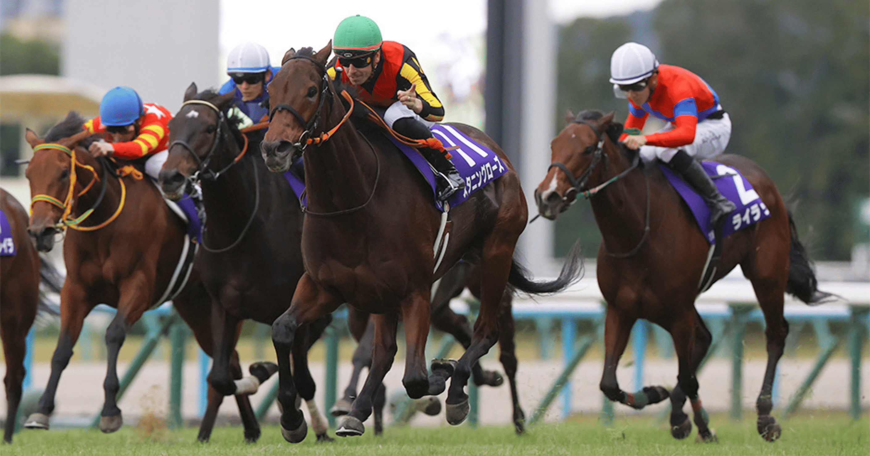 👸 G1 エリザベス女王杯2025 全頭診断 👸｜玲音覇愛兎