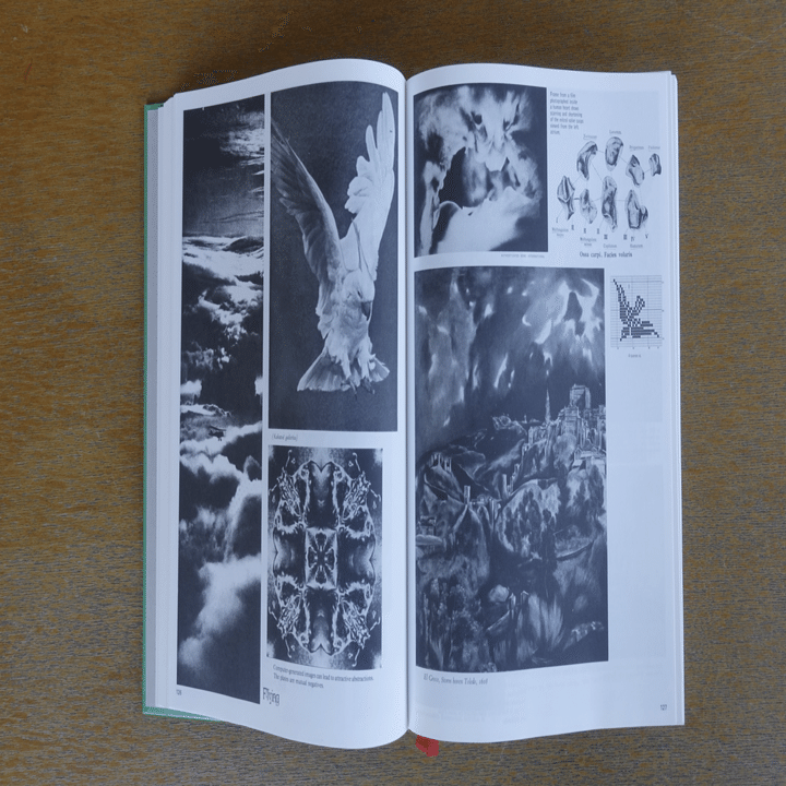 Batia Suter - Parallel Encyclopedia 2 Revised Edition (reprint