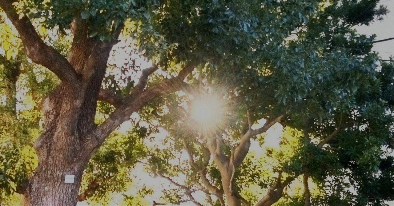 神のみ心に沿って生きるために②―恐怖心について―：M.F eyecatch