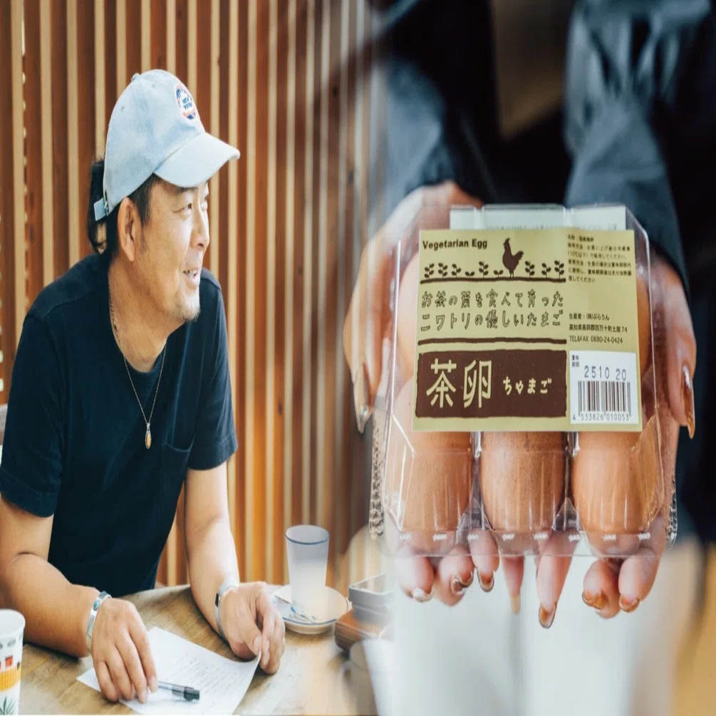 四万十町の“茶卵”がすごい！こっこらんどで味わう卵スイーツの世界