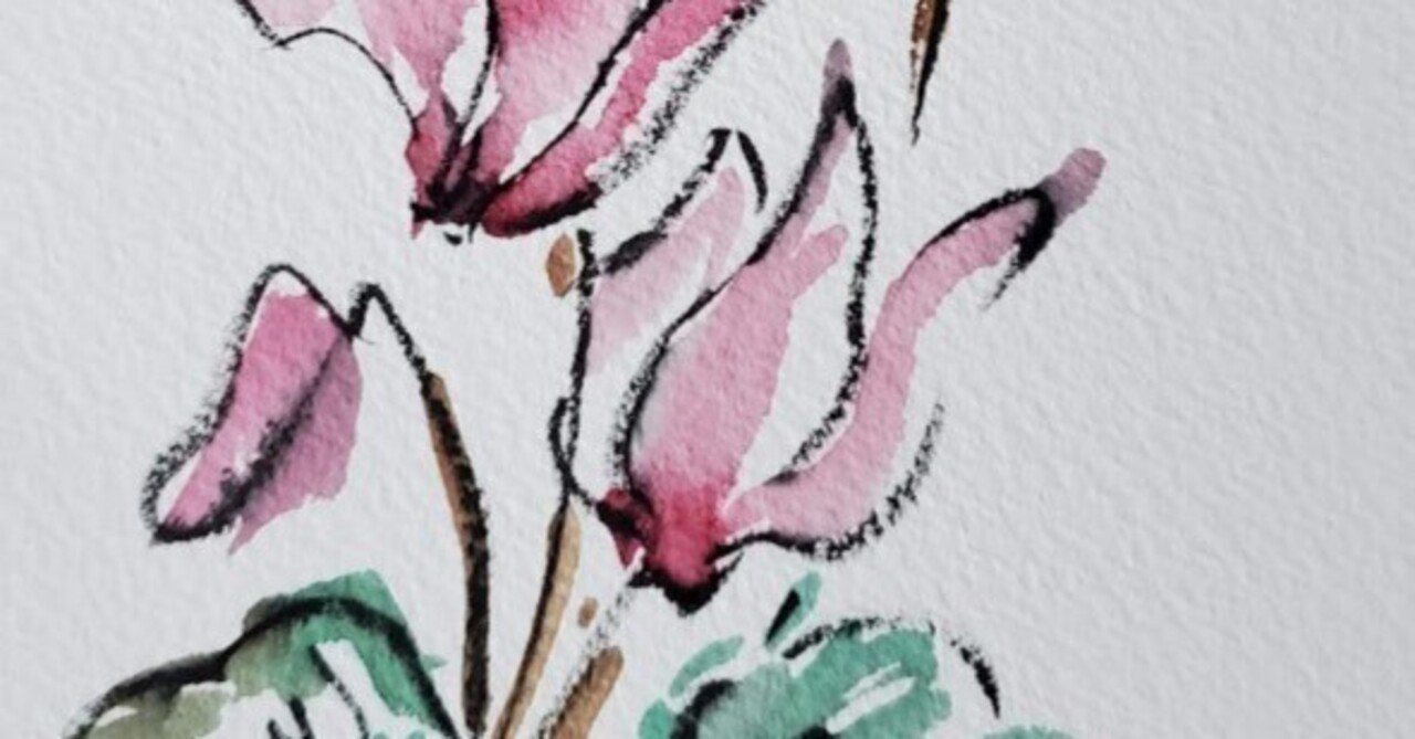 11月14日のお花シクラメンのイラストと写真集📚｜こうこ