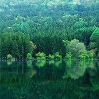 カップ焼きそばから考えるロシアフォルマリズム 趣旨の説明 文学部唯野教授 ト アペイロン Note